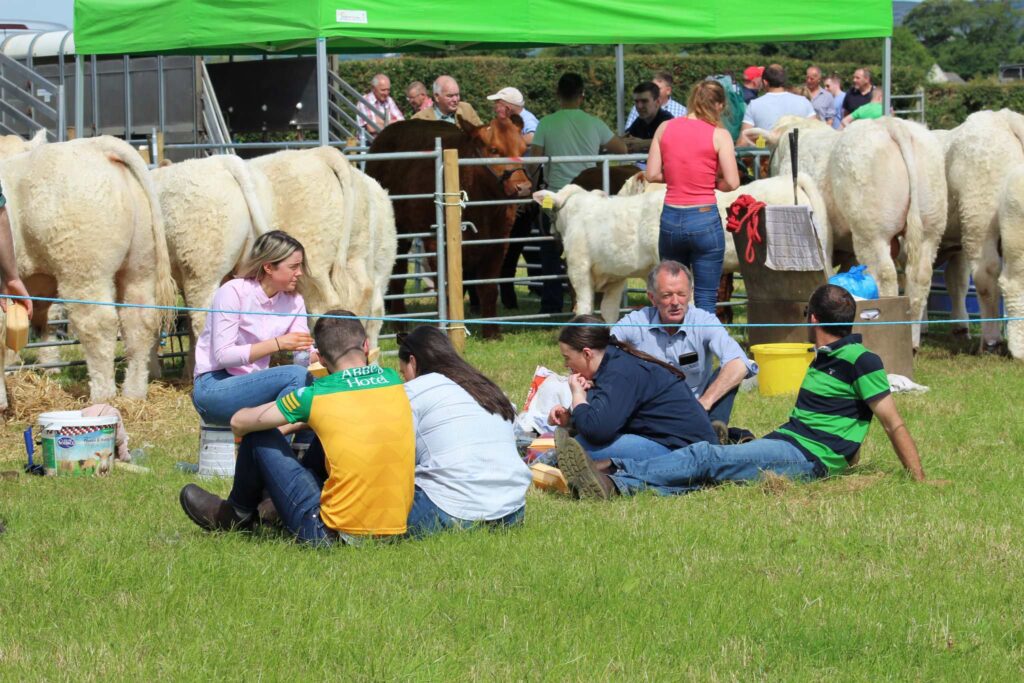 People enjoying the Inishowen Agricultural Show with a group of cattle behind them